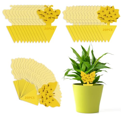 VFANDV Trampas para Insectos, 60Pcs Trampas Adhesivas para Moscas de la Fruta Pegatinas Adhesivas de Doble Cara Papeles Pegajosos Amarillos Trampas de...