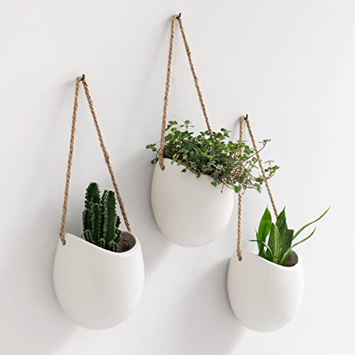 Kazai. Macetas de Pared -Ellie- | Macetas Colgantes De Cerámica | 3 Piezas | Decoración de Pared para Interiores, Balcones y Jardines | Blanco...