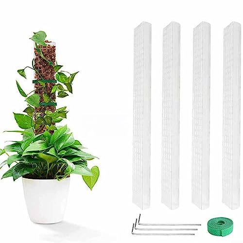4 unidades de 24 pulgadas Monstera ayuda para plantas de musgo, varillas para plantas trepadoras, 1 brida para plantas y 3 piquetas