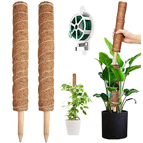YAUNGEL tutores para Plantas, 2 Piezas de 41CM de Moss Stick, Soporte para Plantas de tótem, Estacas de Coco Apilables, Lazos de 20M para apoyar...