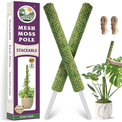 DUSPRO Poste de musgo de malla apilable para plantas, estacas de plástico para plantas de interior, varillas de musgo grandes, extensibles, paquete...