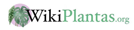 wikiplantas.org